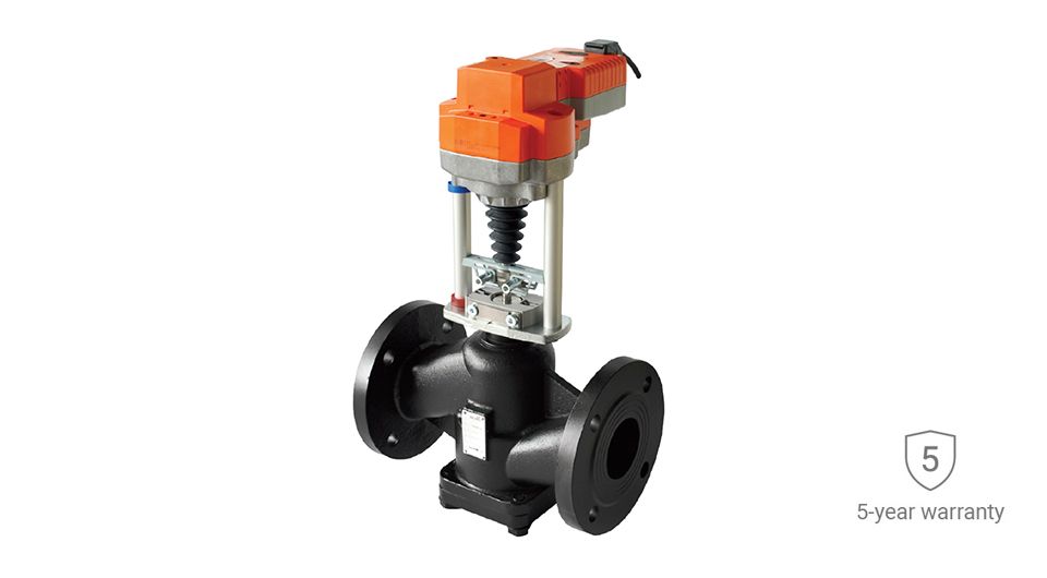 Globe Valve